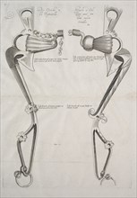 Diagram for Horse's Bit, 1700s. Creator: Unknown.