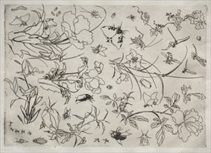 Dinner Service (Rousseau service): Flowers and Insects (no. 15), 1866. Creator: Félix Bracquemond (French, 1833-1914).