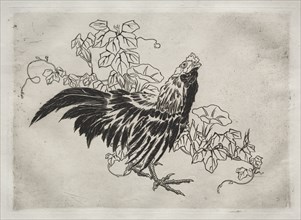 Dinner Service (Rousseau service): Rooster and morning glories (no. 25), 1866. Creator: Félix Bracquemond (French, 1833-1914).