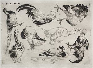 Dinner Service (Rousseau service): Roosters, ducks, etc. (no. 13), 1866. Creator: Félix Bracquemond (French, 1833-1914).