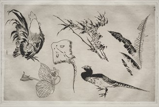 Dinner Service (Rousseau service): Roosters, skate, plants, etc. (no. 9), 1866. Creator: Félix Bracquemond (French, 1833-1914).