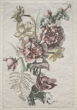Divers fleurs mises en boucquets: No. 1 - Hollyhocks and Narcissus, c. 1670. Creator: Jacques I Bailly (French, 1634-1679).