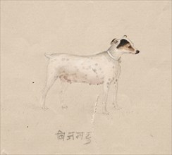 Dog, 1800s. Creator: Unknown.
