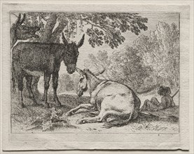Donkeys. Creator: Herman van Swanevelt (Dutch, c. 1600-1655).