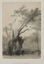 Egypt and Nubia, Volume III: The Holy Tree of Metereah, 1849. Creator: Louis Haghe (British, 1806-1885); F.G.Moon, 20 Threadneedle Street, London.