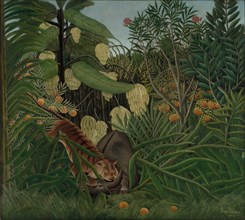 Fight between a Tiger and a Buffalo, 1908. Creator: Henri Rousseau (French, 1844-1910).
