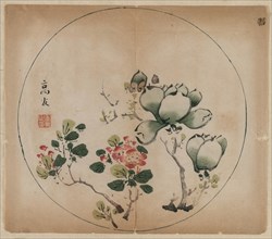 Flowering Magnolia and Peach Blossoms, 1368-1644. Creator: Unknown.