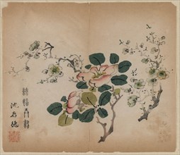 Flowering Prunus, 1368-1644. Creator: Unknown.