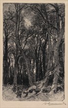 Fontainebleau Forest: Bas-Bréau (La Forêt de Fontainebleau: Le Bas-Bréau), 1890. Creator: Auguste Louis Lepère (French, 1849-1918); A. Desmoulins, Published in Revue Illustrée, 1887-90.