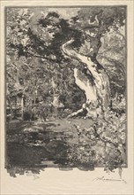 Fontainebleau Forest: Le Clovis, Plateau de Bellecroix (La Forêt de Fontainebleau...), 1890. Creator: Auguste Louis Lepère (French, 1849-1918); A. Desmoulins, Published in Revue Illustrée, 1887-90.
