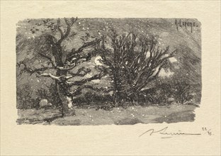 Fontainebleau Forest: Au dormoir de Lantara (La Forêt de Fontainebleau: Au dormoir de Lantara), 1890 Creator: Auguste Louis Lepère (French, 1849-1918); A. Desmoulins, Published in Revue Illustrée, 188...