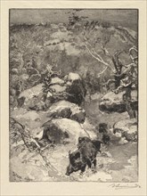Fontainebleau Forest: Cuvier-Châtillon Cliff (La Forêt de Fontainebleau: Roche Cuvier-Châtillon), 18 Creator: Auguste Louis Lepère (French, 1849-1918); A. Desmoulins, Published in Revue Illustrée, 188...
