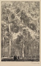 Fontainebleau Forest: Morning, Crossroads of the Route of the Forts de Marlotte..., 1890. Creator: Auguste Louis Lepère (French, 1849-1918); A. Desmoulins, Published in Revue Illustrée, 1887-90.