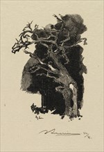 Fontainebleau Forest: The Raging One (La Forêt de Fontainebleau: Le rageur), 1890. Creator: Auguste Louis Lepère (French, 1849-1918); A. Desmoulins, Published in Revue Illustrée, 1887-90.