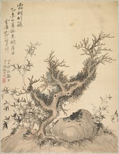 Frosted Branches and Dwarf Bamboo, 1847. Creator: Tsubaki Chinzan (Japanese, 1801-1854).