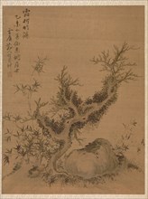 Frosted Branches and Dwarf Bamboo, in the Style of Su Shih, 1775. Creator: Zhai Dakun (Chinese, d. 1804).