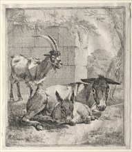 Goat and Donkeys. Creator: Johann Heinrich Roos (German, 1631-1685).