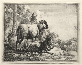 Goat with Bell, 1665. Creator: Johann Heinrich Roos (German, 1631-1685).