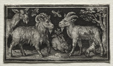 Goats and Hare, 1594. Creator: Nicolaes de Bruyn (Netherlandish, 1571-1656); A. van Londerseel.