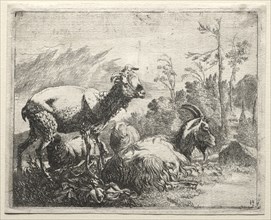 Goats, 1665. Creator: Johann Heinrich Roos (German, 1631-1685).
