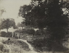 Green Meadows, 1854. Creator: George Shadbolt (British, 1819-1901); Photographic Exchange Club.