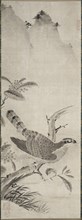 Hawk, mid 1500s. Creator: Masayoshi Fujiwara (Japanese).