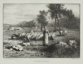 Herd of Swine, 1868. Creator: Charles-Émile Jacque (French, 1813-1894).