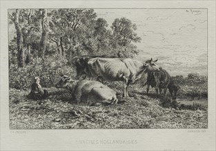 Holland Cows. Creator: Charles-Émile Jacque (French, 1813-1894).