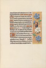 Hours of Queen Isabella the Catholic, Queen of Spain: Fol. 134r, c. 1500. Creator: Master of the First Prayerbook of Maximillian (Flemish, c. 1444-1519); Associates, and.