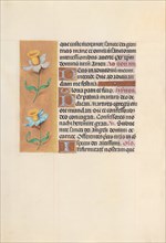Hours of Queen Isabella the Catholic, Queen of Spain: Fol. 40v, c. 1500. Creator: Master of the First Prayerbook of Maximillian (Flemish, c. 1444-1519); Associates, and.