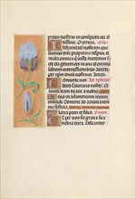 Hours of Queen Isabella the Catholic, Queen of Spain: Fol. 41v, c. 1500. Creator: Master of the First Prayerbook of Maximillian (Flemish, c. 1444-1519); Associates, and.