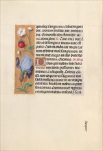 Hours of Queen Isabella the Catholic, Queen of Spain: Fol. 46v, c. 1500. Creator: Master of the First Prayerbook of Maximillian (Flemish, c. 1444-1519); Associates, and.