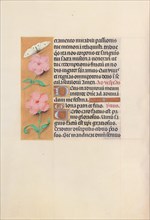Hours of Queen Isabella the Catholic, Queen of Spain: Fol. 47v, c. 1500. Creator: Master of the First Prayerbook of Maximillian (Flemish, c. 1444-1519); Associates, and.