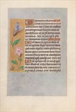 Hours of Queen Isabella the Catholic, Queen of Spain: Fol. 98v, c. 1500. Creator: Master of the First Prayerbook of Maximillian (Flemish, c. 1444-1519); Associates, and.