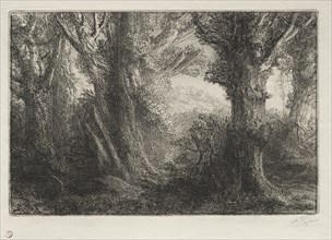 In the Forest at Conteville. Creator: Alphonse Legros (French, 1837-1911).