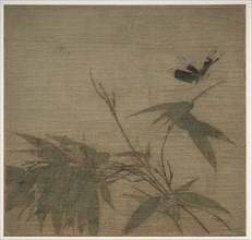 Insects and Bamboo, 13th Century. Creator: Unknown.