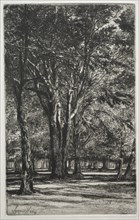 Kensington Gardens (The Large Plate), 1860. Creator: Francis Seymour Haden (British, 1818-1910).
