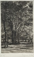 Kensington Gardens (The Larger Plate), 1860. Creator: Francis Seymour Haden (British, 1818-1910).