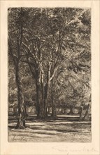 Kensington Gardens, No. 2 (Large Plate), 1860. Creator: Francis Seymour Haden (British, 1818-1910).