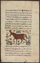 Khar (Ass), from a Nuzhat-nama-yi alai (Excellent Book of Counsel)..., 1400s. Creator: Unknown.