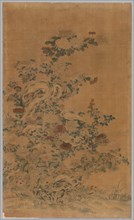 Ko Ssu Panel: Rocks and Chrysanthemums, 1700s - 1800s. Creator: Unknown.