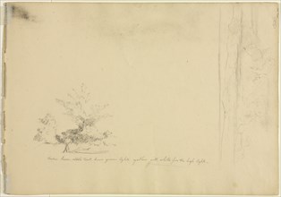 Landscape and Tree Studies (verso), c. 1851. Creator: David Johnson (American, 1827-1908).
