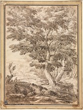 Landscape with Clump of Trees, 17th century. Creator: Unknown.