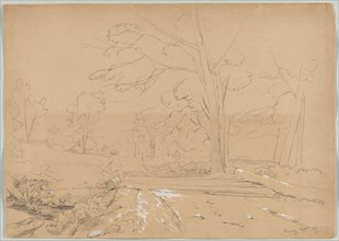 Landscape with Man Fishing, Conway, New Hampshire, 1851. Creator: David Johnson (American, 1827-1908).