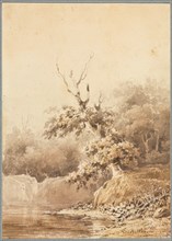Landscape, 1836. Creator: Théodore Rousseau (French, 1812-1867).