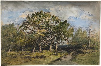 Landscape, c. 1860. Creator: Narcisse Diaz de la Peña (French, 1807-1876).