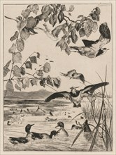 Lapwings and Teals, 1862. Creator: Félix Bracquemond (French, 1833-1914).