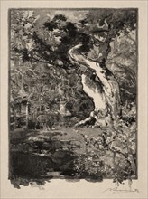 Le Clovis, Plateau de Bellecroix, 1890. Creator: Auguste Louis Lepère (French, 1849-1918).