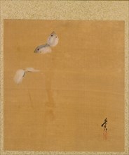 Leaf from Album of Seasonal Themes: Maple Leaves and Feather, 1847. Creator: Shibata Zeshin (Japanese, 1807-1891).