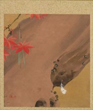 Leaf from Album of Seasonal Themes: Moths, 1847. Creator: Shibata Zeshin (Japanese, 1807-1891).